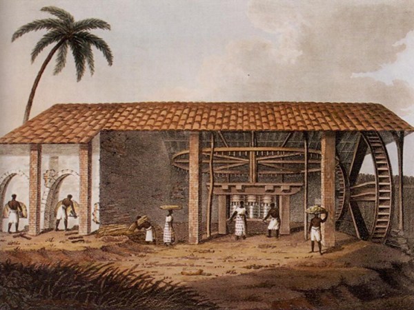 LA SCHIAVITÙ IN&nbsp;BRASILE