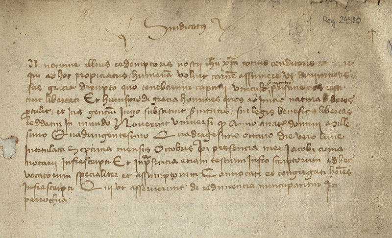 Pagina del Llibre del Sindicat Remença