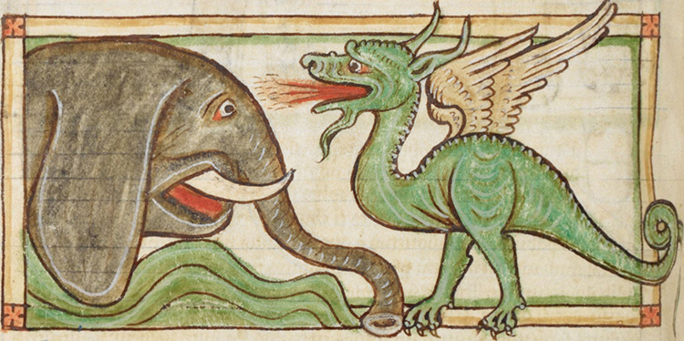 Drago e Elefante