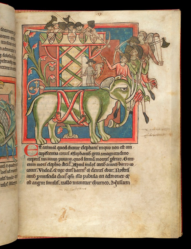 Elefante